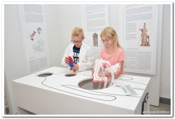 U Gradskom muzeju otvorena izložba „Anamneza – povijest bolesti u antičkom svijetu“