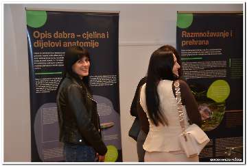 Dabar i vlažna staništa-4