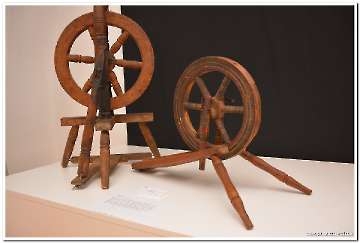 korjeni-12