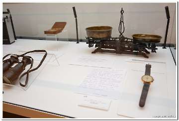 korjeni-14